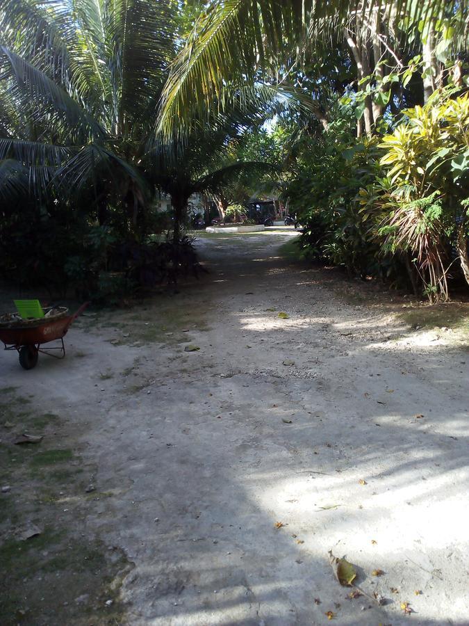 John Lhea Beach Cottages Siquijor Eksteriør billede
