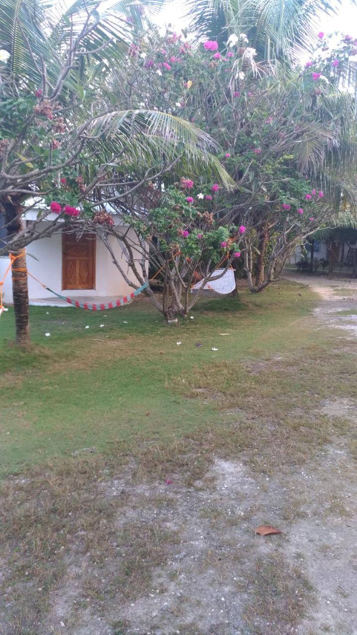 John Lhea Beach Cottages Siquijor Eksteriør billede